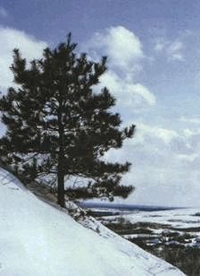 Иллюстрация к книге — Ох, охота! [i_168.jpg]