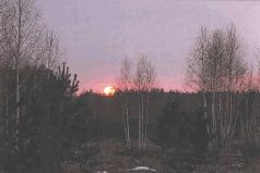 Иллюстрация к книге — Ох, охота! [i_169.jpg]