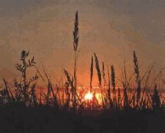 Иллюстрация к книге — Ох, охота! [i_173.jpg]