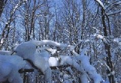 Иллюстрация к книге — Ох, охота! [i_174.jpg]