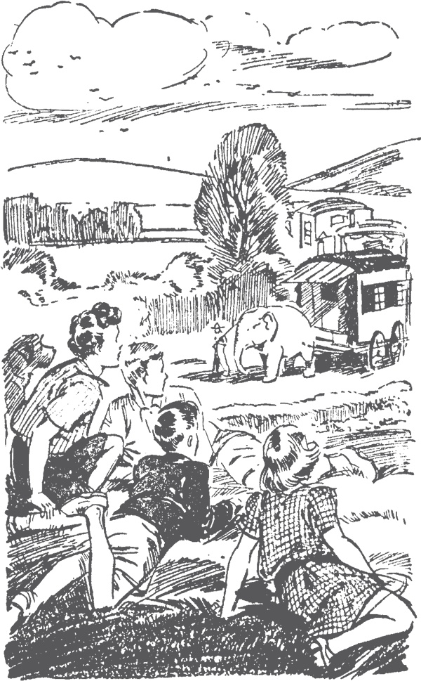 Иллюстрация к книге — По следам бродячего цирка [i_001.jpg]