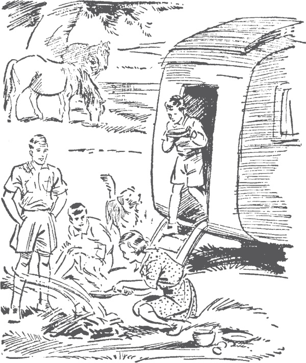 Иллюстрация к книге — По следам бродячего цирка [i_005.jpg]