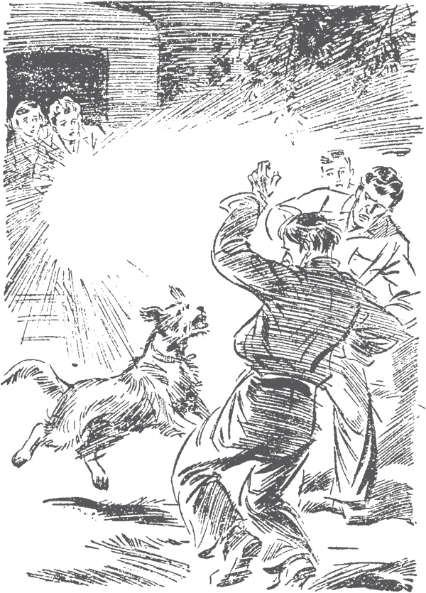 Иллюстрация к книге — По следам бродячего цирка [i_010.jpg]