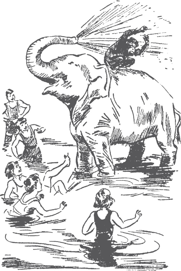 Иллюстрация к книге — По следам бродячего цирка [i_015.jpg]