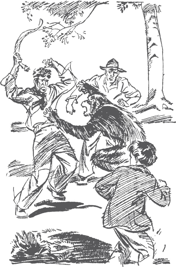 Иллюстрация к книге — По следам бродячего цирка [i_018.jpg]