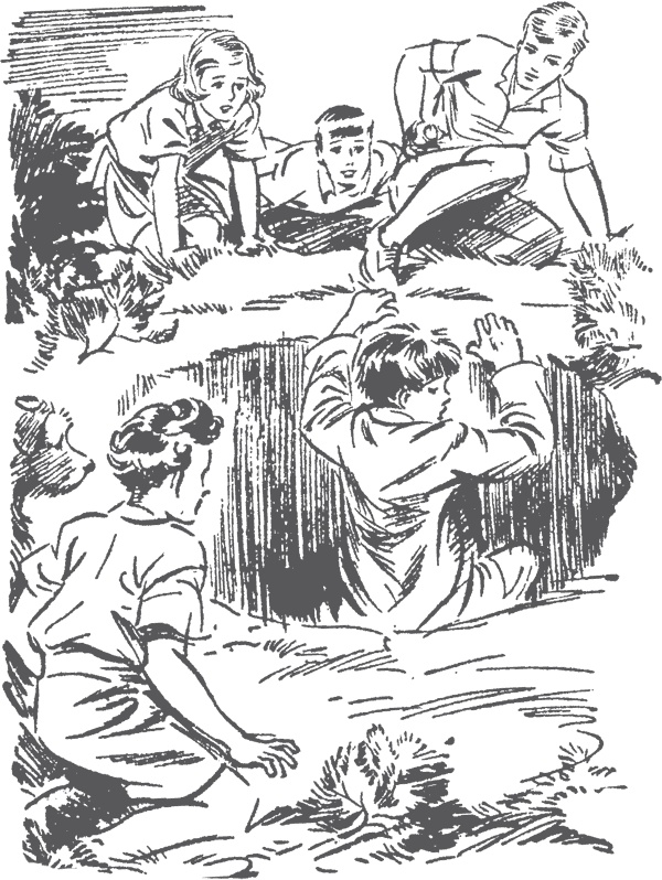 Иллюстрация к книге — По следам бродячего цирка [i_019.jpg]