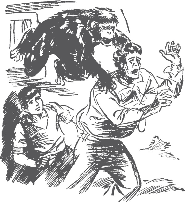 Иллюстрация к книге — По следам бродячего цирка [i_020.jpg]