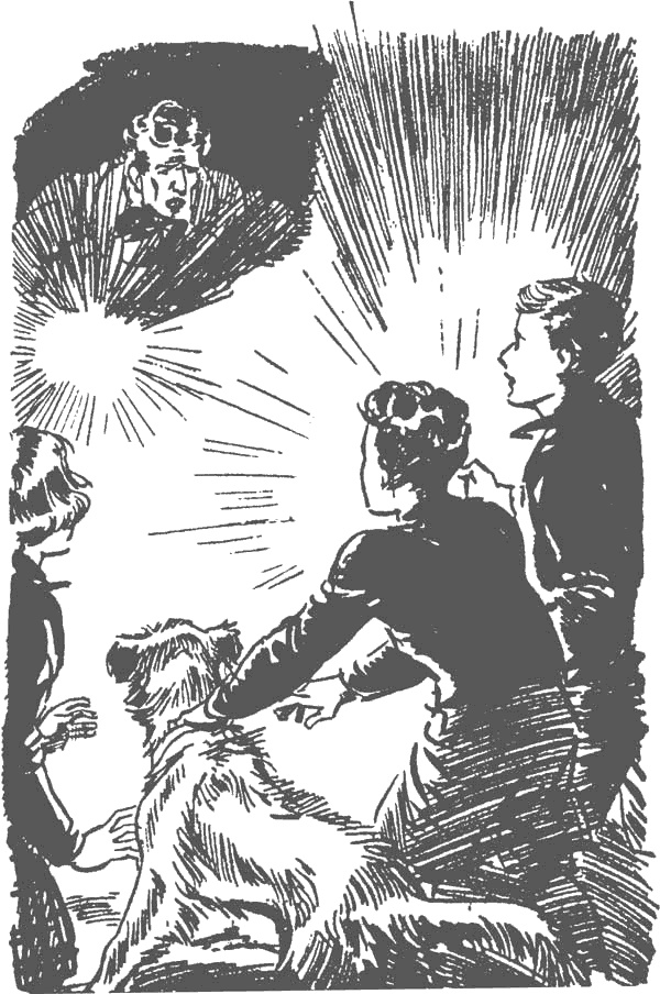 Иллюстрация к книге — По следам бродячего цирка [i_027.jpg]