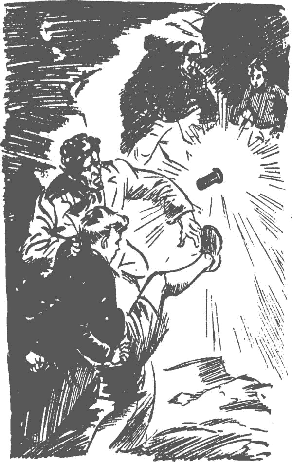 Иллюстрация к книге — По следам бродячего цирка [i_029.jpg]