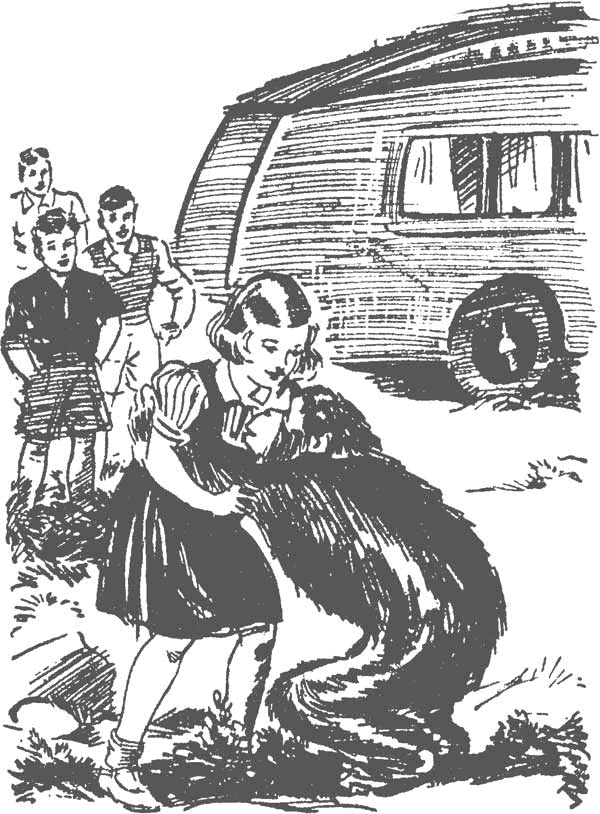 Иллюстрация к книге — По следам бродячего цирка [i_031.jpg]