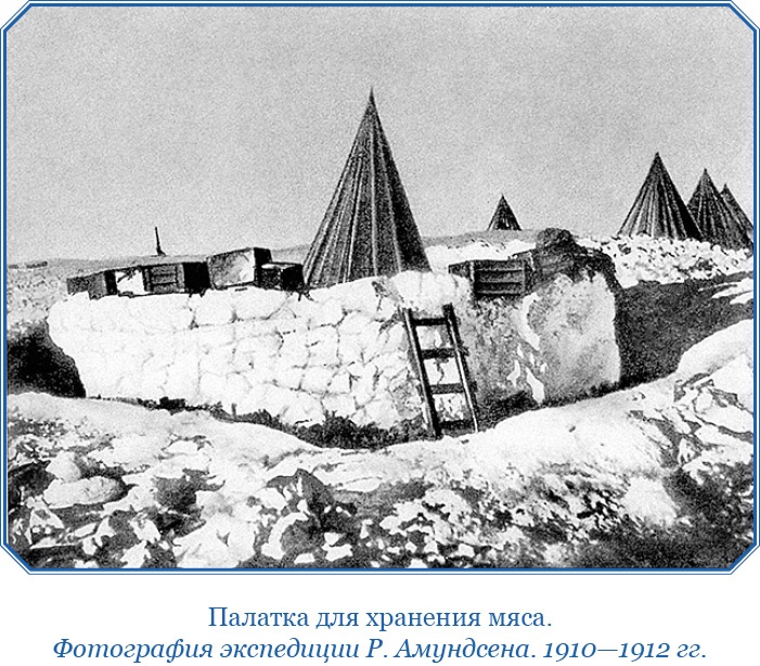 Иллюстрация к книге — Моя жизнь. Южный полюс [i_105.jpg]