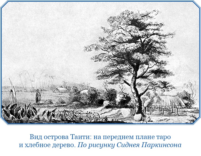 Иллюстрация к книге — Открытие Антарктиды [i_070.jpg]