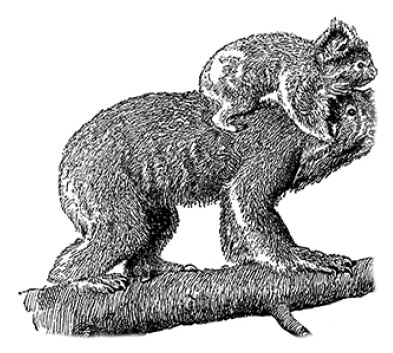 Иллюстрация к книге — Открытие Антарктиды [i_092.jpg]