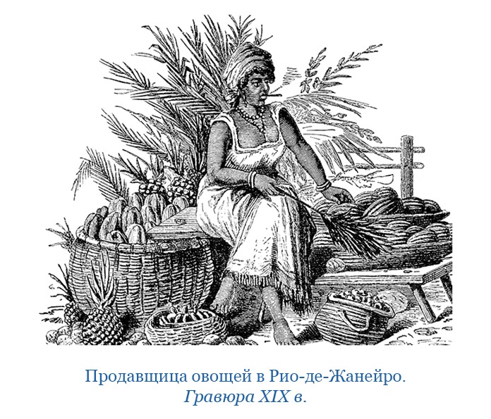 Иллюстрация к книге — Открытие Антарктиды [i_112.jpg]