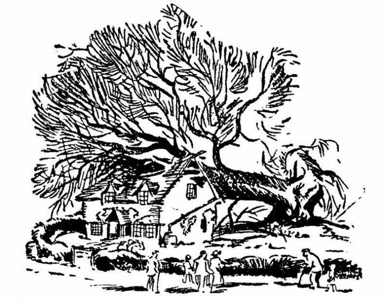 Иллюстрация к книге — Тайна Приюта контрабандистов [i_002.jpg]