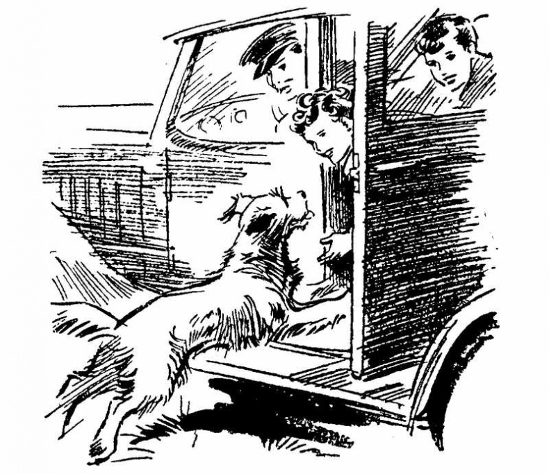 Иллюстрация к книге — Тайна Приюта контрабандистов [i_003.jpg]