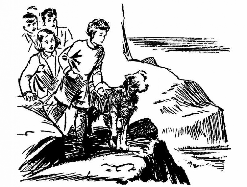 Иллюстрация к книге — Тайна Приюта контрабандистов [i_009.jpg]