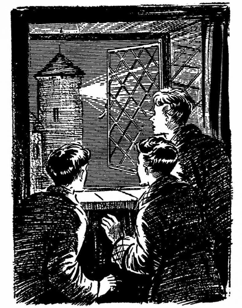 Иллюстрация к книге — Тайна Приюта контрабандистов [i_010.jpg]