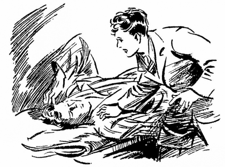 Иллюстрация к книге — Тайна Приюта контрабандистов [i_027.jpg]