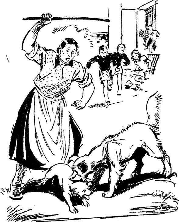 Иллюстрация к книге — Возвращение на остров сокровищ [i_006.jpg]