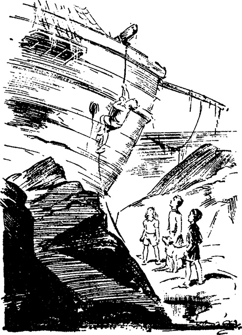 Иллюстрация к книге — Возвращение на остров сокровищ [i_015.jpg]