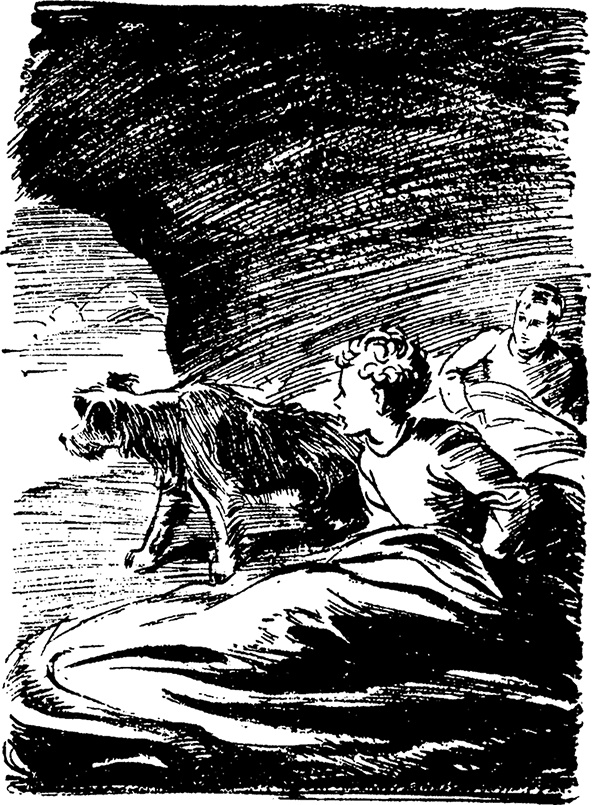 Иллюстрация к книге — Возвращение на остров сокровищ [i_018.jpg]