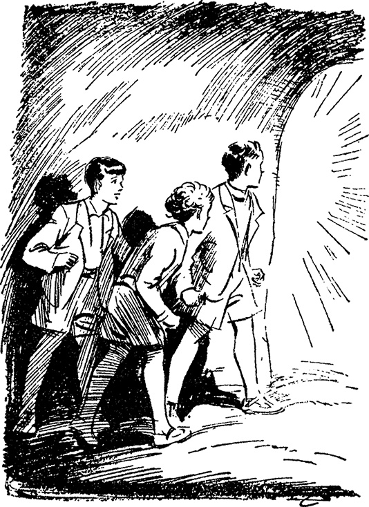 Иллюстрация к книге — Возвращение на остров сокровищ [i_021.jpg]