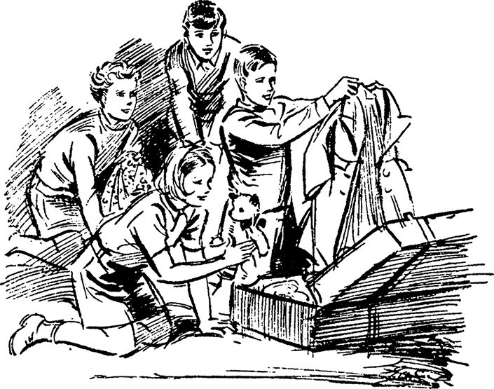 Иллюстрация к книге — Возвращение на остров сокровищ [i_026.jpg]