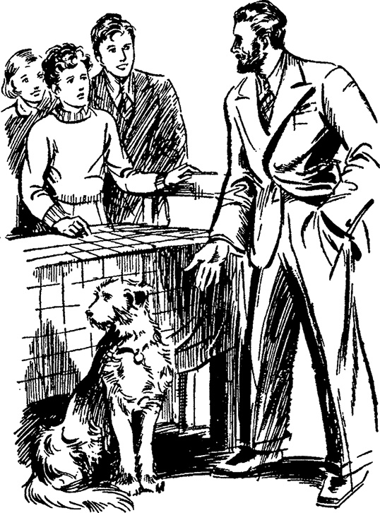 Иллюстрация к книге — Опасные каникулы [i_011.jpg]