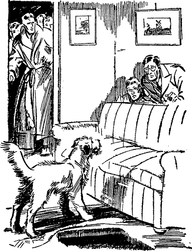 Иллюстрация к книге — Опасные каникулы [i_033.jpg]