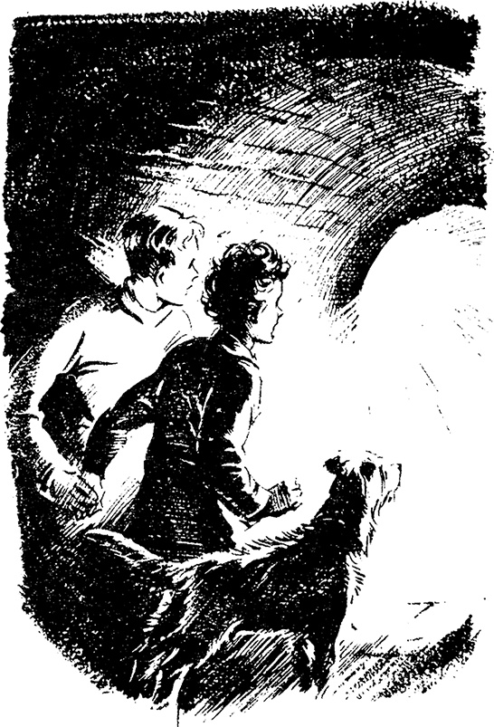 Иллюстрация к книге — На острове сокровищ [i_021.jpg]