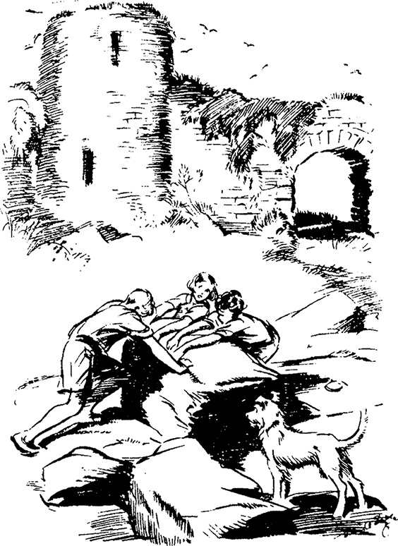 Иллюстрация к книге — На острове сокровищ [i_027.jpg]