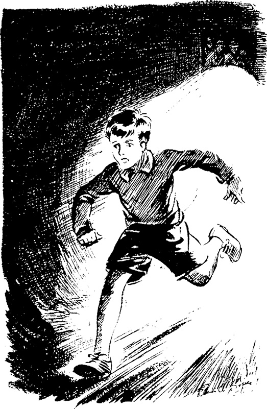 Иллюстрация к книге — На острове сокровищ [i_028.jpg]