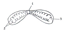 Иллюстрация к книге — Как достичь надежности в близких отношениях и уверенности в себе [pic_11.jpg]