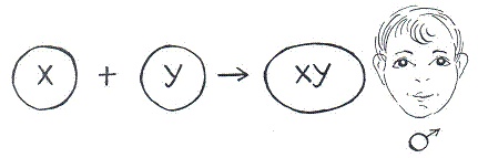 Иллюстрация к книге — Как достичь надежности в близких отношениях и уверенности в себе [pic_18.jpg]