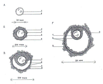 Иллюстрация к книге — Как достичь надежности в близких отношениях и уверенности в себе [pic_7.jpg]