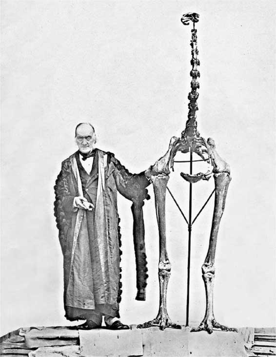 Иллюстрация к книге — Наука воскрешения видов. Как клонировать мамонта [i_001.jpg]