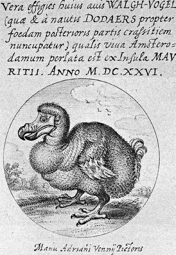 Иллюстрация к книге — Наука воскрешения видов. Как клонировать мамонта [i_002.jpg]