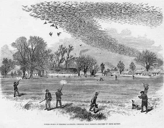 Иллюстрация к книге — Наука воскрешения видов. Как клонировать мамонта [i_003.jpg]