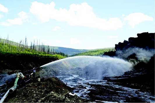 Иллюстрация к книге — Наука воскрешения видов. Как клонировать мамонта [i_018.jpg]