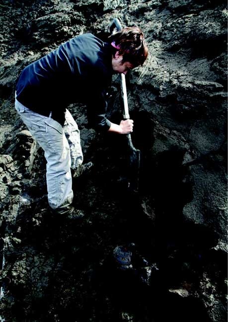 Иллюстрация к книге — Наука воскрешения видов. Как клонировать мамонта [i_020.jpg]