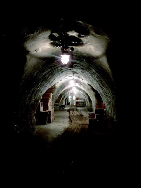 Иллюстрация к книге — Наука воскрешения видов. Как клонировать мамонта [i_026.jpg]