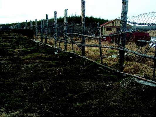 Иллюстрация к книге — Наука воскрешения видов. Как клонировать мамонта [i_028.jpg]