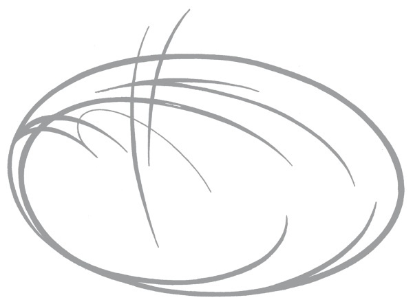 Иллюстрация к книге — Живые мысли. Отношения. Как понимать советы и подсказки Мира [i_014.jpg]