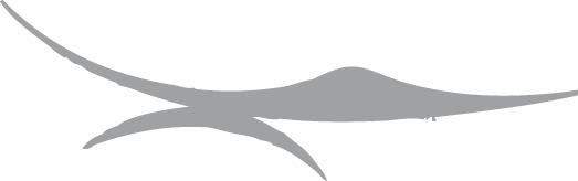 Иллюстрация к книге — Живые мысли. Отношения. Как понимать советы и подсказки Мира [i_021.jpg]