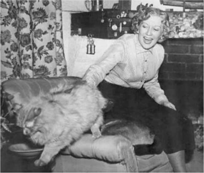 Иллюстрация к книге — Наша Любовь [i_021.jpg]