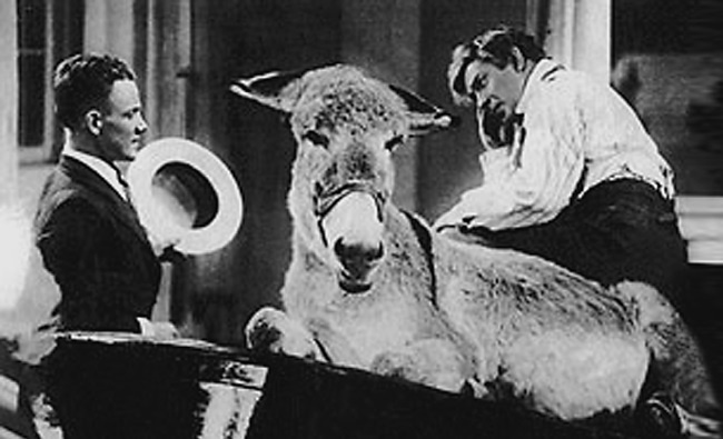 Иллюстрация к книге — Наша Любовь [i_023.jpg]