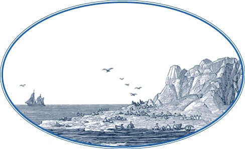 Иллюстрация к книге — Путешествие по Сибири и Ледовитому морю [i_021.jpg]