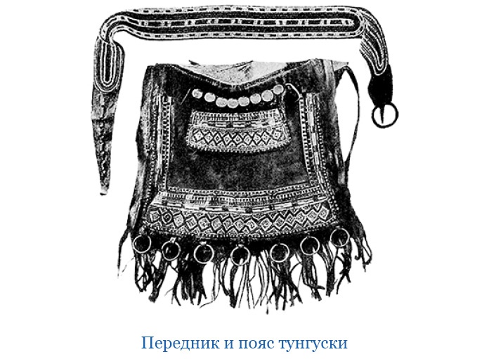 Иллюстрация к книге — Путешествие по Сибири и Ледовитому морю [i_041.jpg]