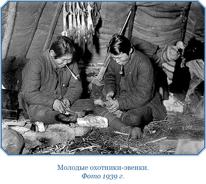 Иллюстрация к книге — Путешествие по Сибири и Ледовитому морю [i_044.jpg]